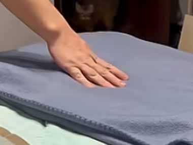 お父さんがネコを呼んだ。寝る場所の準備ができたよ！ → 猫はいつもこうなります…