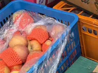 ネコ好きが果物売り場にやってきた。これください！ → モフモフ果実はこちらです…