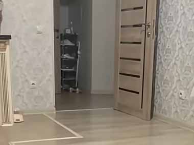 ネコを呼び寄せる方法は何ですか？ スイッチオン♪ → うちの場合はこうします…