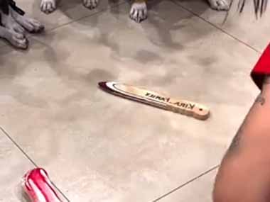 犬の前で床に置いた木の棒を回してみる。そうか、理解したぞ！ → 賢い１匹はこうします…