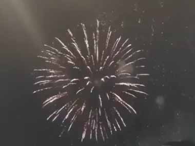 ネコにも美しさが分かるのかな？ 花火が夜空に打ち上がる → 猫はこんな様子です…