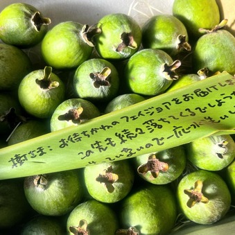 582003197_25110078835323899_7703445098668353850_n