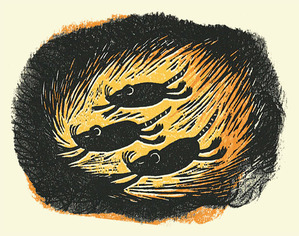 3ɤ�����ܤͤ���