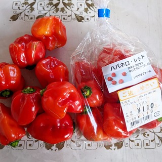 富良野産ハバネロ