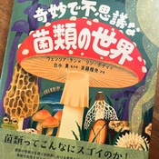 ´ñ̯¤ÇÉԻ׵ĤʶÝÎà¤ÎÀ¤³¦