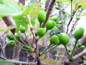 2015.4/4 ����˷