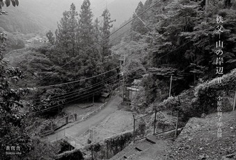 ¾®¸¶º´Ï»Ҽ̿¿Å¸¡ØÃáÉã »³¤Î´ßÊÕ¶¡Ù