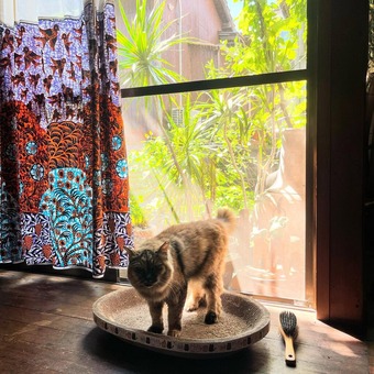 �郎�ޤޥ��̥�ɱ