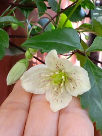 �ߺ餭����ޥ���