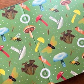 ´ñ̯¤ÇÉԻ׵ĤʶÝÎà¤ÎÀ¤³¦