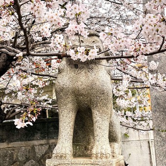 Çò»³¿À¼Ò¤Î¹ý¸¤