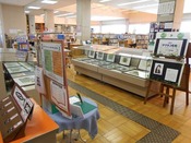 2016.2/11 えびの図書館展示