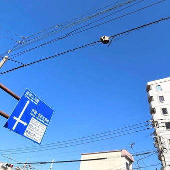 ÅÅÀþ¤ò¼è¤ê¹þ¤ó¤ÀÌÚ