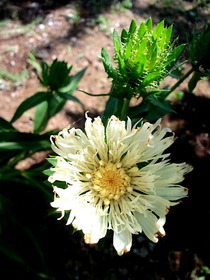 140616���ȥ�����