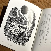 �ز֤�������