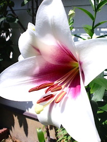 �ȥ饤����ե�����