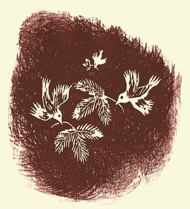 �����Ļ�