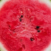 �㾾Ĭ���ץ�ߥ���