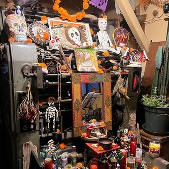 ��Ԥ���2023����