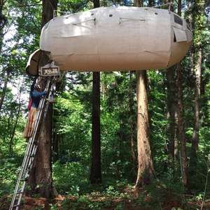 ŷ������