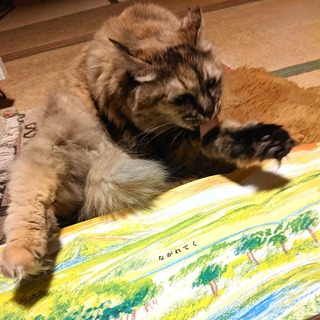 ÃæÌŵ¡Ø¤æ¤á¡Ù