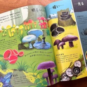 ´ñ̯¤ÇÉԻ׵ĤʶÝÎà¤ÎÀ¤³¦