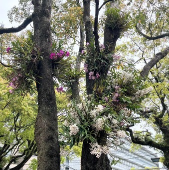 µÜùõ¤Î³¹Ï©¼ù