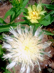 140619���ȥ�����