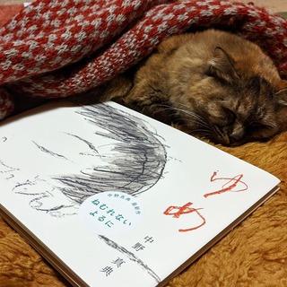 ÃæÌŵ¡Ø¤æ¤á¡Ù