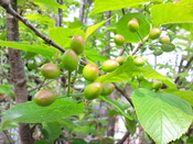 2015.4/16 ����˷