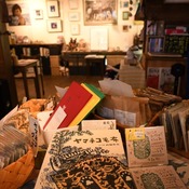 ¥ä¥Þ¥Í¥³Î¹¤ÎÃç´ÖŸ