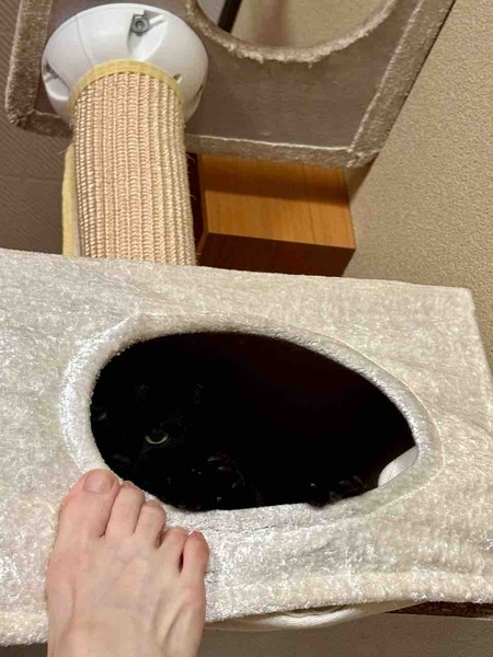 FullSizeRender