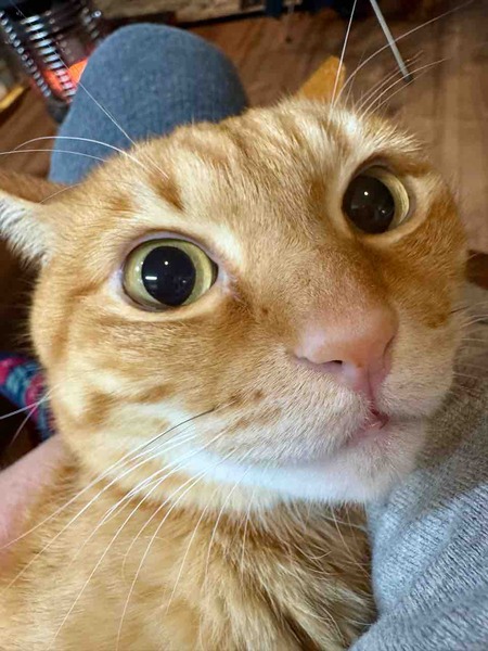 FullSizeRender