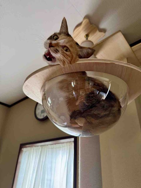 FullSizeRender