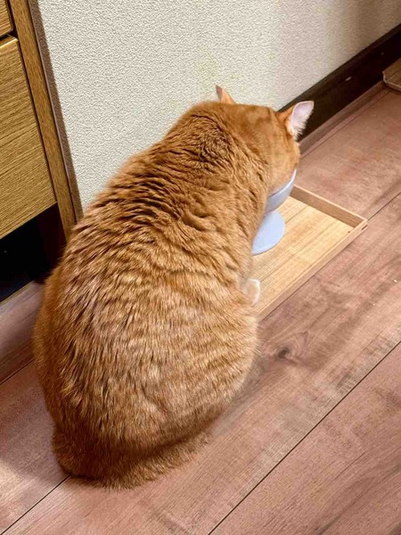 FullSizeRender