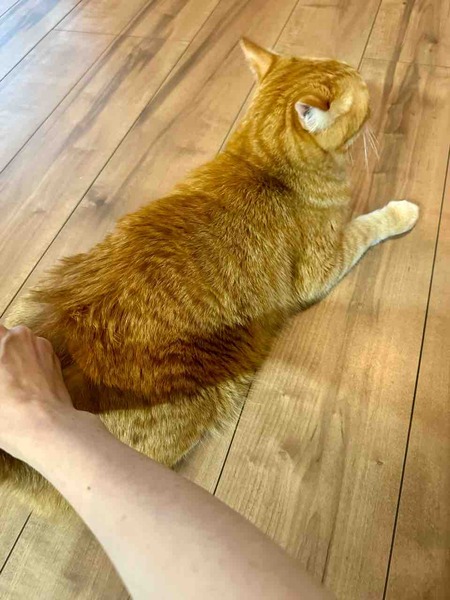FullSizeRender