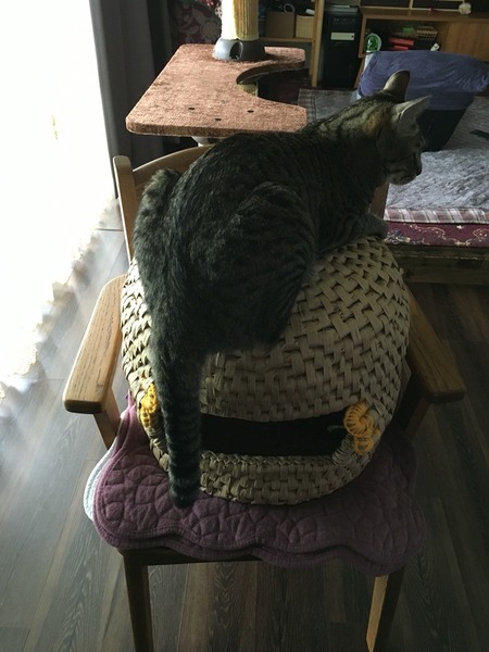 2016-08-29-08-37-45