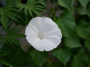 42f98d1e.jpg