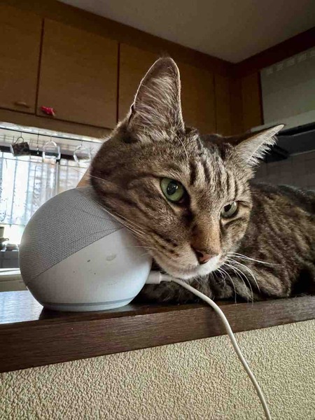 FullSizeRender
