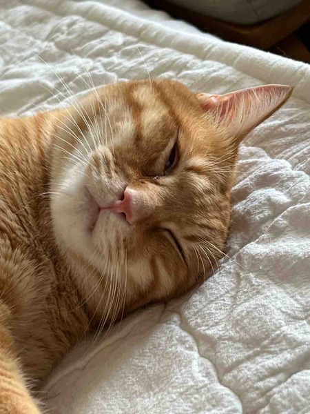 3BC11BA2-B7B2-41B2-9D0E-7CFBA709615A