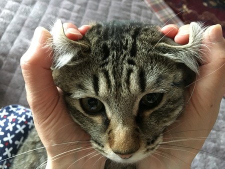 2016-05-25-07-15-14