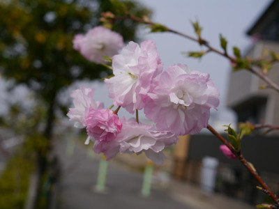 52d71648.jpg