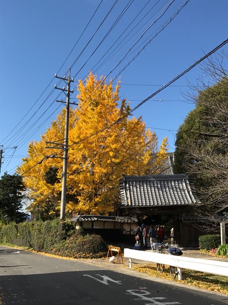 2016-11-23-11-44-36
