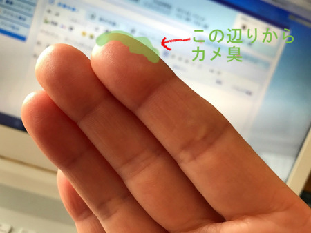BlogPaint