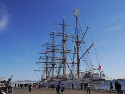 h2411019
