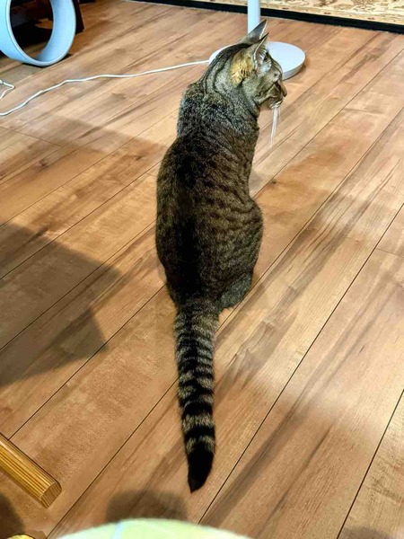 FullSizeRender