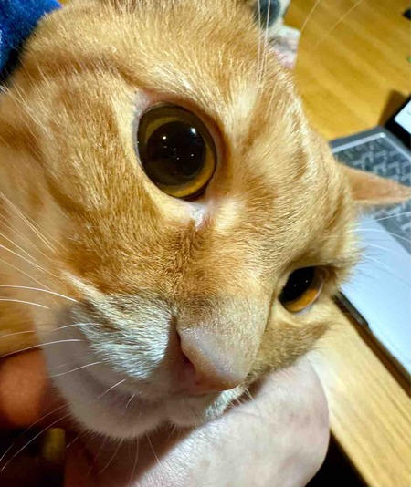 FullSizeRender