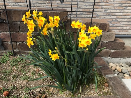 2017-02-22-10-53-31