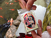 a88973b7.jpg