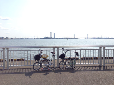 a88a87b6.jpg